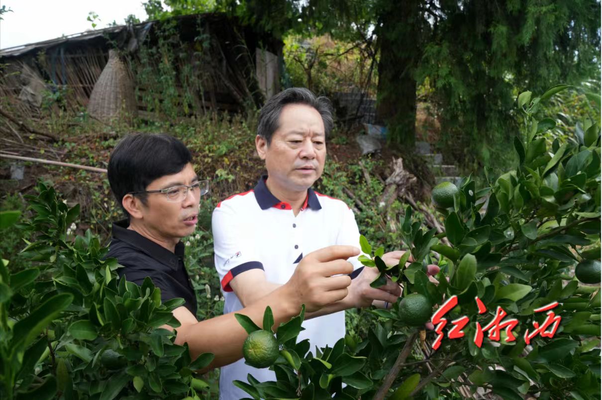 ��֮��(�й���)�ٷ���վ