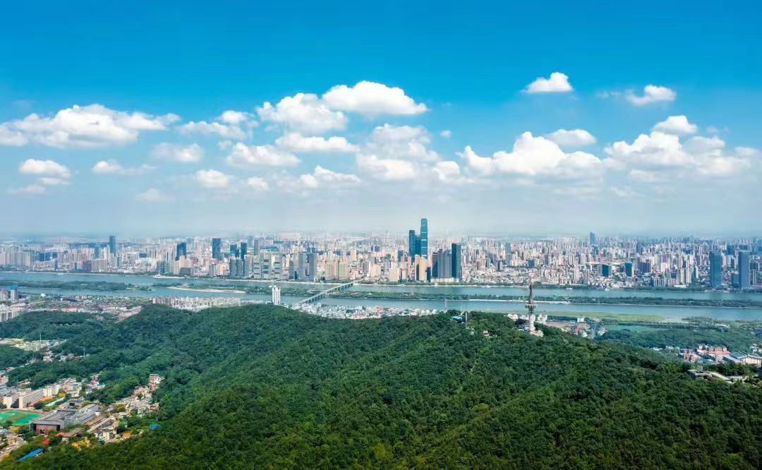 ΢��ͼƬ_20260202114041_511_155